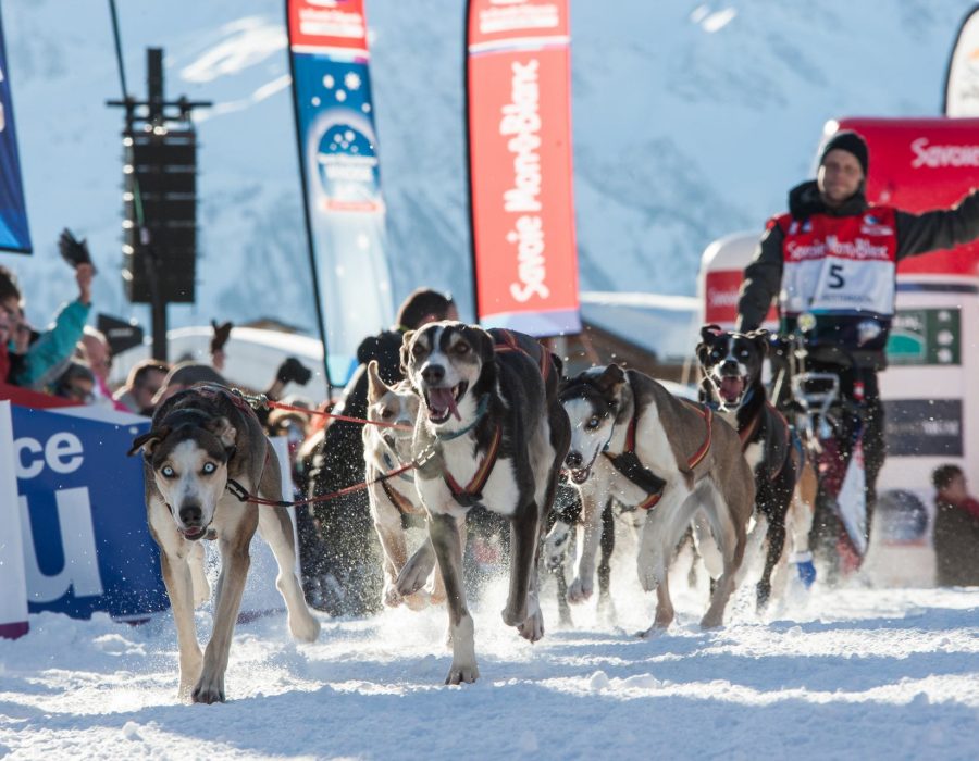 Evenements Sportifs Amadeus Evenements 001